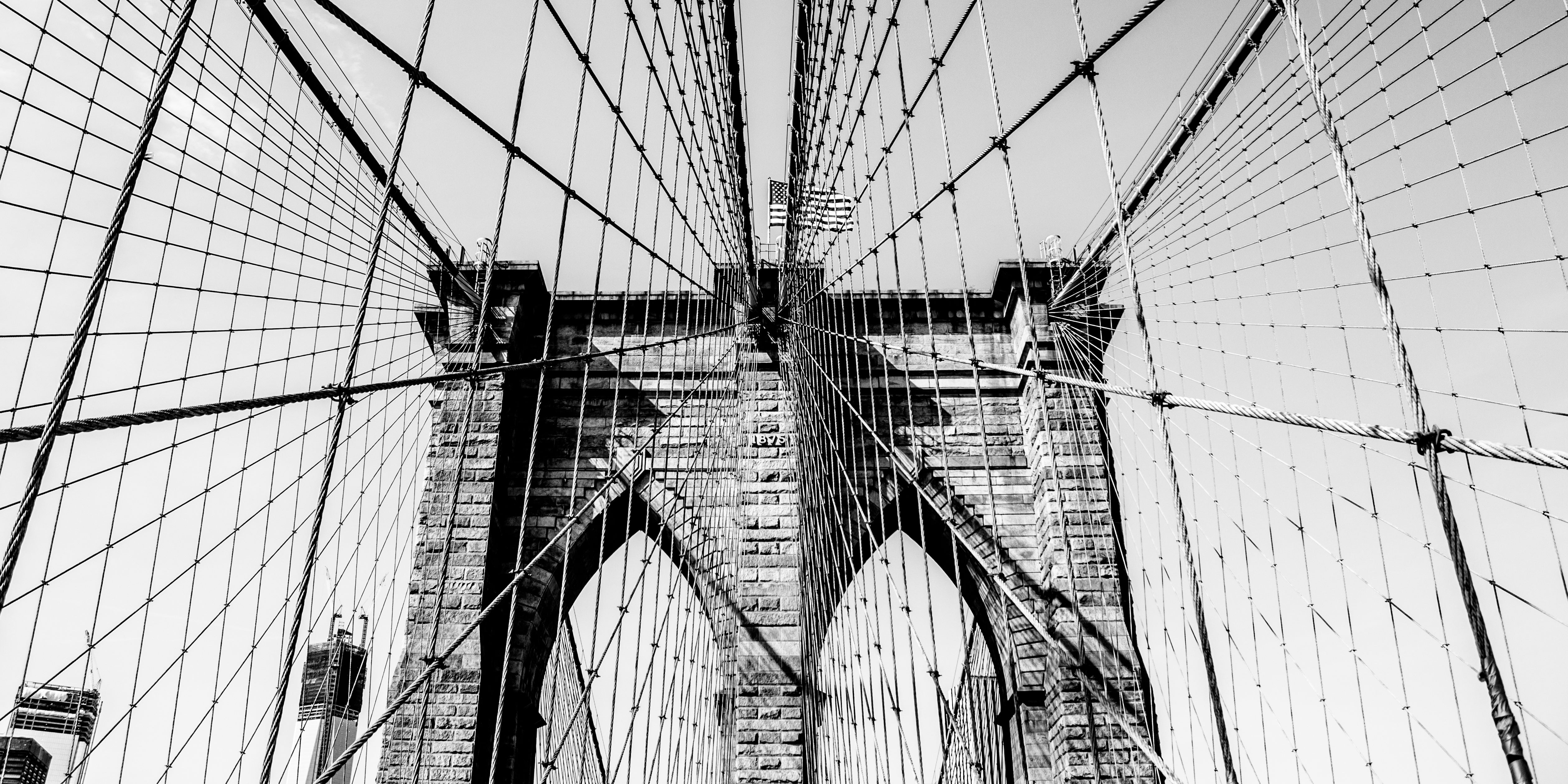 Brooklyn Lines