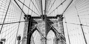 Brooklyn Lines