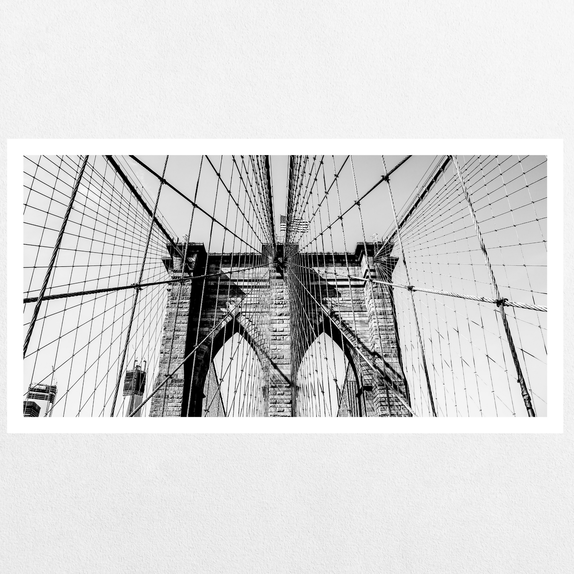 Brooklyn Lines