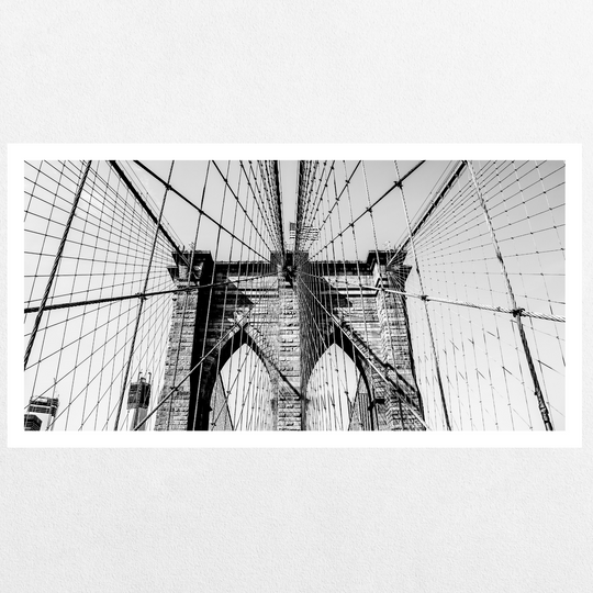 Brooklyn Lines